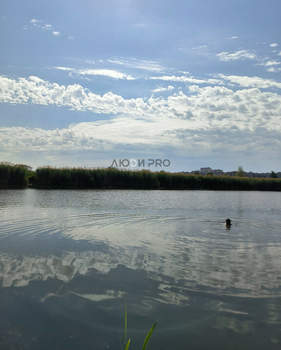 Дом 48м², 1-этажный, участок 6 сот.