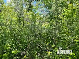 Дом 22м², 1-этажный, участок 5 сот.