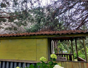 Дом 43м², 2-этажный, участок 5 сот.