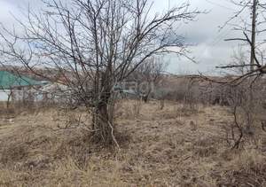 Дом 39м², 1-этажный, участок 11 сот.