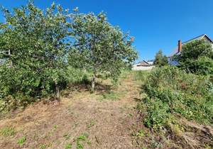 Дача 38м², 1-этажный, участок 25 сот.