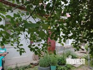 Дом 57м², 1-этажный, участок 1 сот.