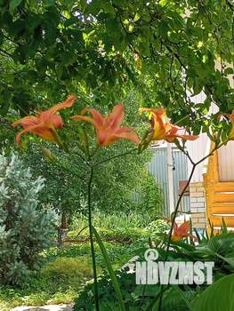 Дом 82м², 1-этажный, участок 6 сот.