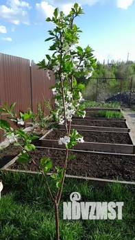 Дом 98м², 1-этажный, участок 6 сот.