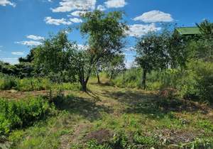 Дача 38м², 1-этажный, участок 25 сот.