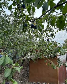 Дом 40м², 1-этажный, участок 2 сот.