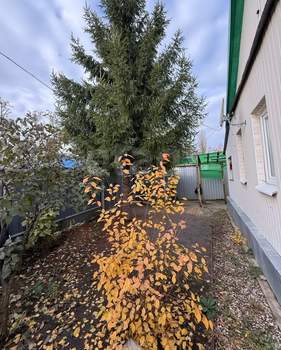 Дом 52м², 11-этажный, участок 3 сот.