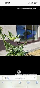 Дом 100м², 1-этажный, участок 568 сот.