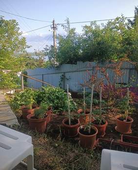 Дом 40м², 1-этажный, участок 4 сот.