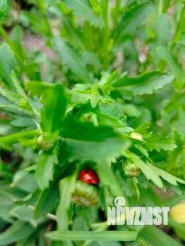 Дом 9м&sup2;, 1-этажный, на длительный срок, 