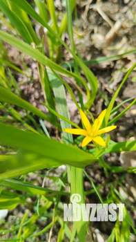 Дом 9м&sup2;, 1-этажный, на длительный срок, 