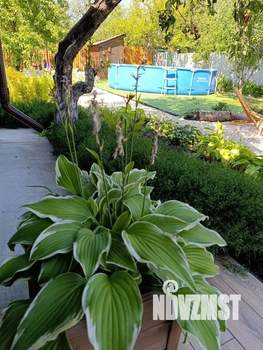 Дом 40м², 1-этажный, посуточно, 