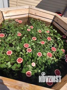 Дом 101м&sup2;, 2-этажный, посуточно, 