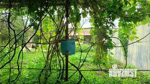 Дом 26м&sup2;, 1-этажный, на длительный срок, 