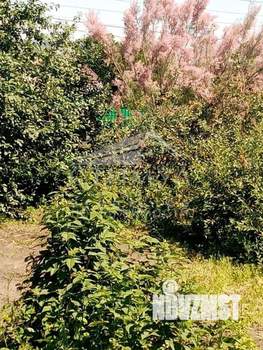 Дом 93м², 2-этажный, участок 7 сот.  