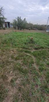 Дом 30м&sup2;, 1-этажный, участок 6 сот.  