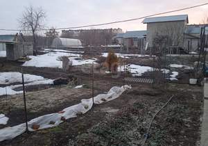 Дом 81м&sup2;, 1-этажный, участок 13 сот.  