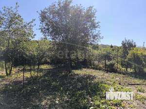 Дом 31м&sup2;, 1-этажный, участок 7 сот.  