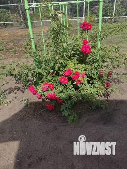 Дом 35м&sup2;, 1-этажный, участок 6 сот.  