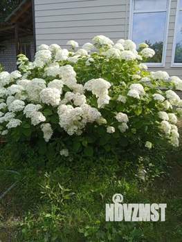 Дом 127м&sup2;, 2-этажный, участок 4 сот.  