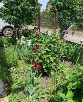 Дача 66м², 2-этажный, участок 4 сот.  