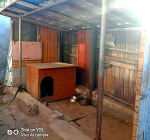 Дом 45м², 2-этажный, участок 3 сот.  