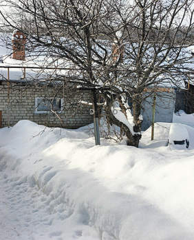 Дом 52м&sup2;, 1-этажный, участок 3 сот.  