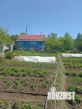 Дом 40м², 1-этажный, участок 6 сот.  