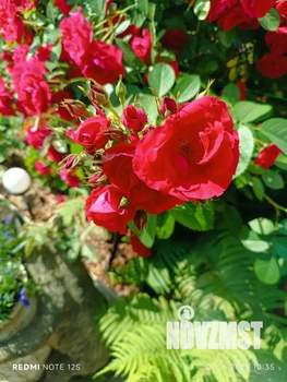 Дом 57м&sup2;, 1-этажный, участок 4 сот.  