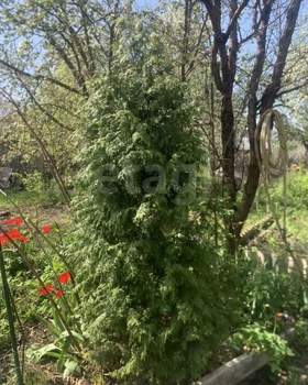 Дом 20м², 2-этажный, участок 6 сот.  