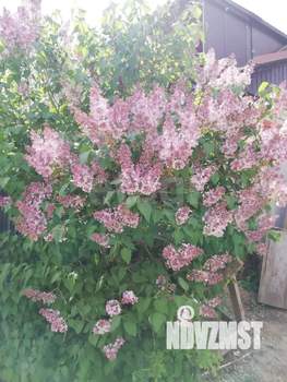 Дом 110м&sup2;, 1-этажный, участок 5 сот.  