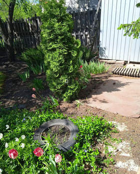 Дом 43м&sup2;, 1-этажный, участок 19 сот.  