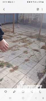 Дом 35м², 1-этажный, участок 6 сот.  