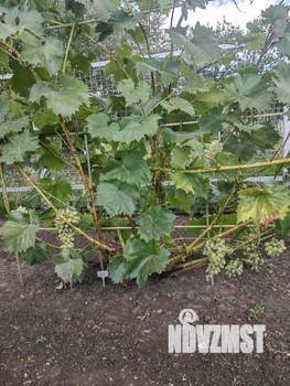 Дом 35м&sup2;, 1-этажный, участок 6 сот.  