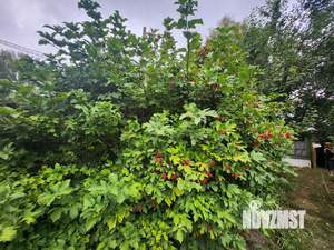 Дом 27м², 1-этажный, участок 10 сот.  