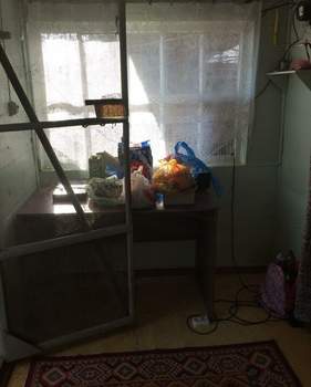 Дом 30м&sup2;, 1-этажный, участок 10 сот.  