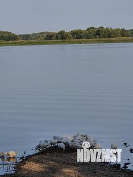 Дом 60м&sup2;, 1-этажный, участок 10 сот.  