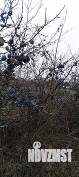 Дом 12м&sup2;, 1-этажный, участок 7 сот.  