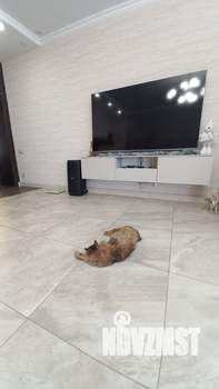 Коттедж 388м&sup2;, 3-этажный, участок 712 сот.  