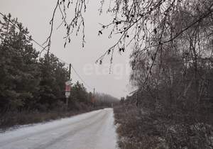 Дом 30м&sup2;, 2-этажный, участок 6 сот.  