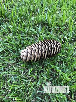 Дом 105м&sup2;, 2-этажный, участок 3 сот.  