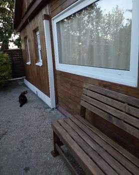 Дом 36м&sup2;, 2-этажный, участок 6 сот.  