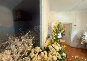 Дом 59м², 1-этажный, участок 1 сот.  