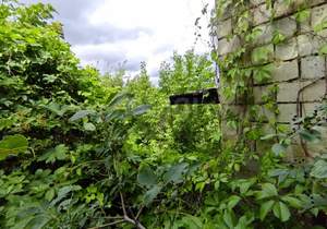 Дом 49м², 2-этажный, участок 7 сот.  