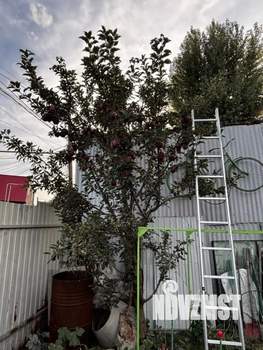 Дом 57м&sup2;, 1-этажный, участок 4 сот.  