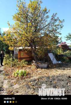 Дом 24м&sup2;, 1-этажный, участок 6 сот.  