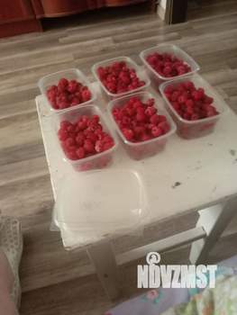 Дом 35м², 1-этажный, участок 5 сот.  