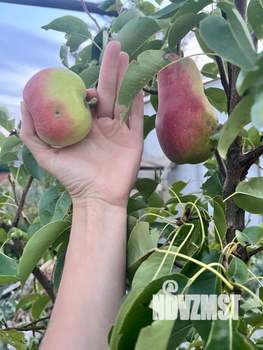 Дом 130м&sup2;, 2-этажный, участок 6 сот.  