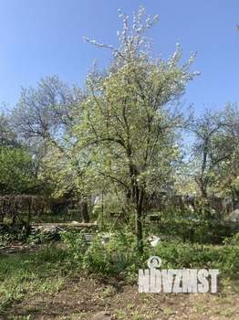 Дача 20м², 1-этажный, участок 6 сот.  