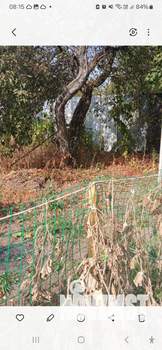 Дом 35м², 1-этажный, участок 6 сот.  